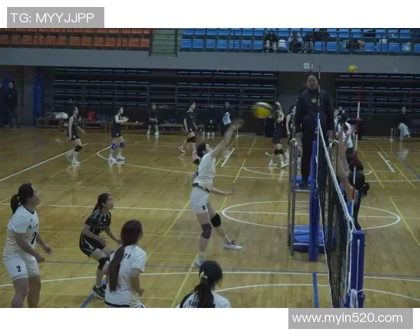 热议排球：北京排球队如何通过团队协作实现战术变革与竞技提升